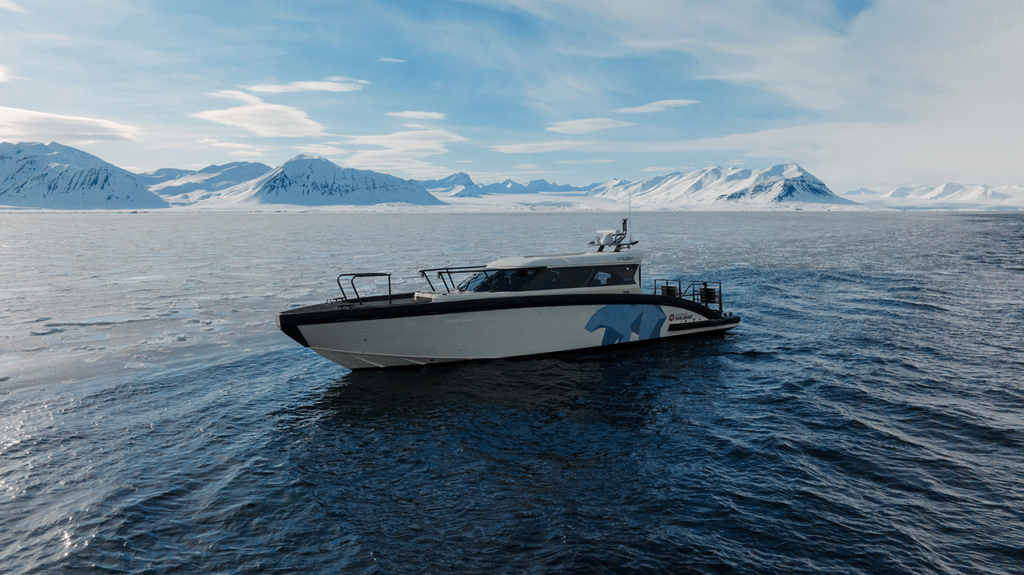 kvitbjorn-svalbard04-comp